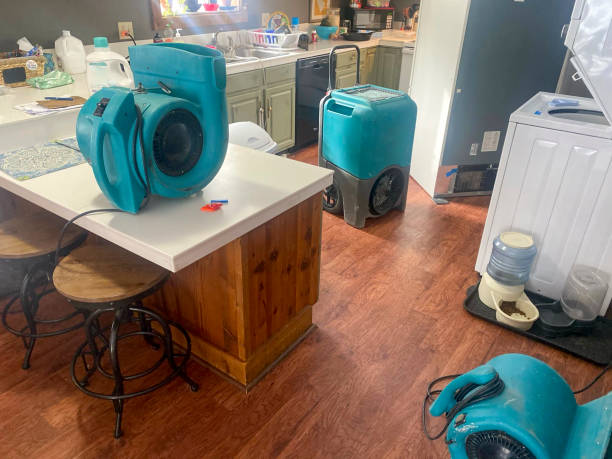 Best Flood damage cleanup  in Colby, WI