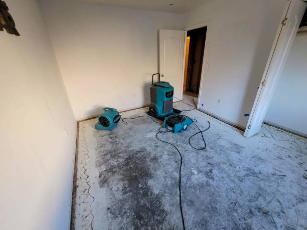 Best Water damage mitigation services  in Colby, WI