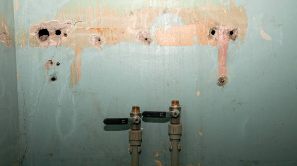 Best Carpet water damage restoration  in Colby, WI